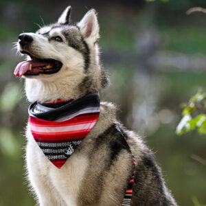 Bandana